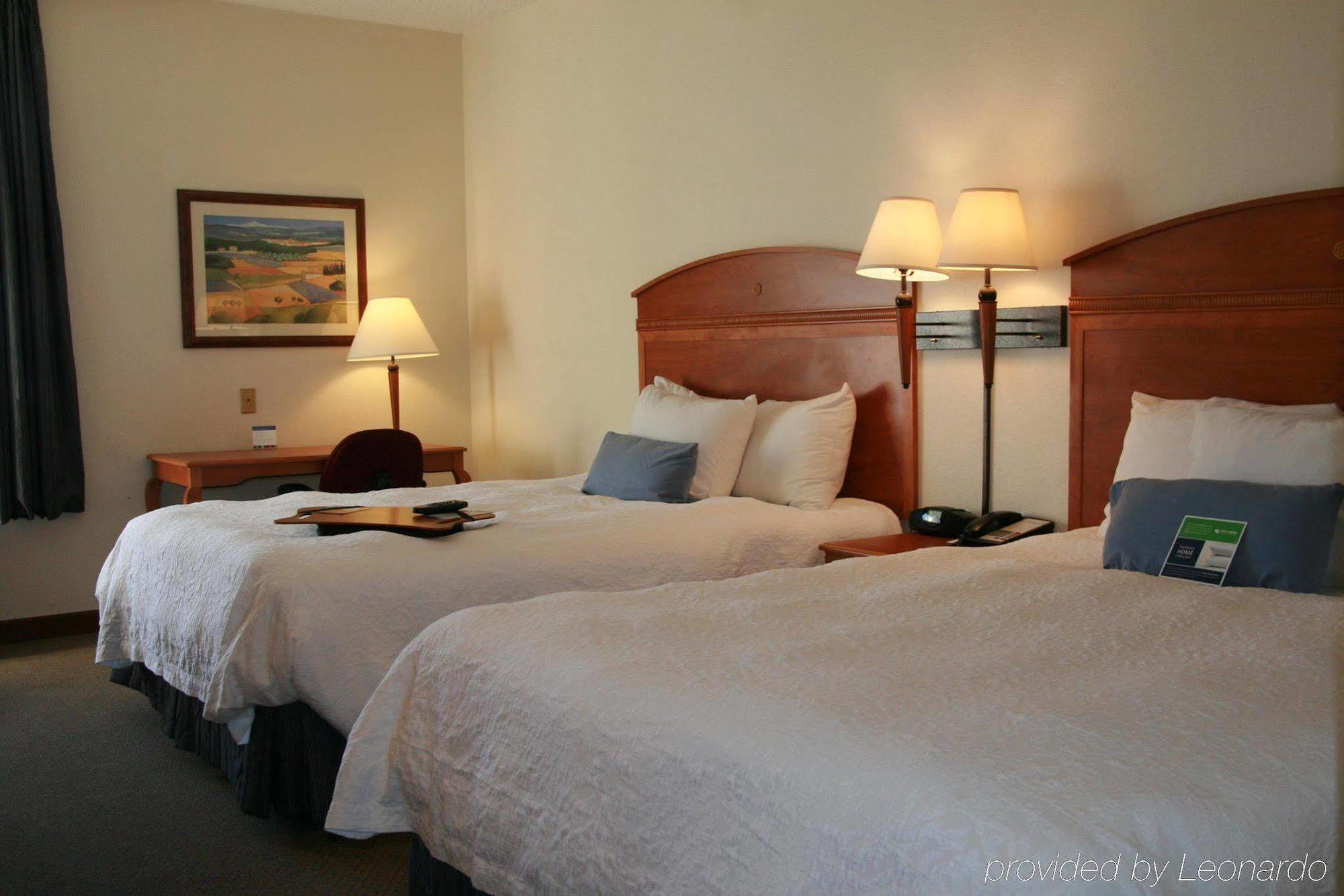 Hampton Inn Chicago Elgin/I-90 Zimmer foto
